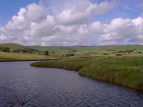 delph_greave.JPG (16071 bytes)